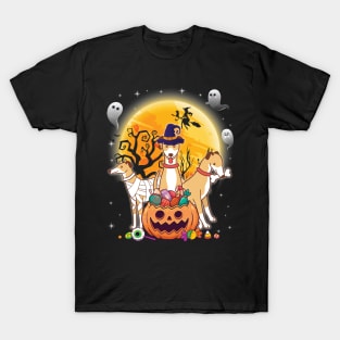 Whippets Dog Mummy Witch Moon Ghosts Happy Halloween Thanksgiving Merry Christmas Day T-Shirt